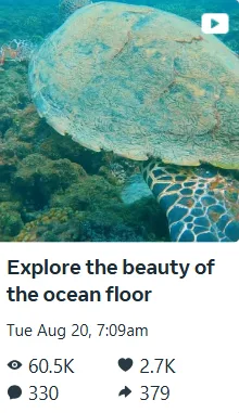 video published on social media