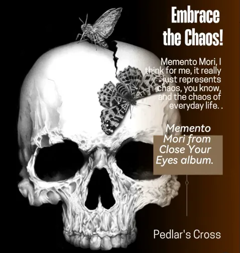 a human skull with moths emerging from it